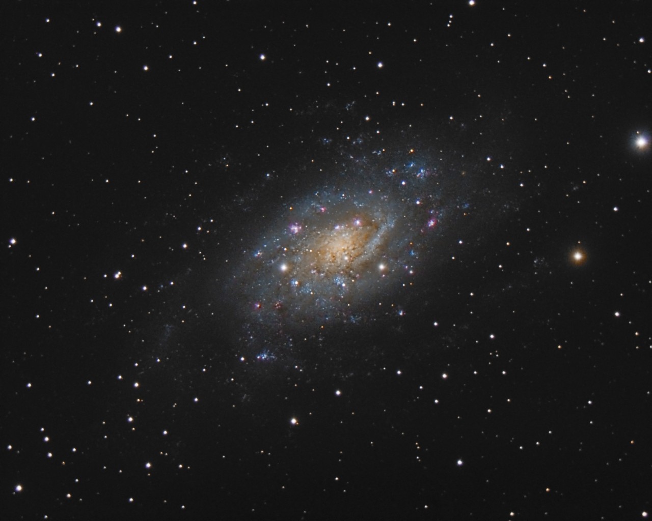 NGC2403_200410_Hauteville_les_Dijon_Patrice_Renaut.jpg